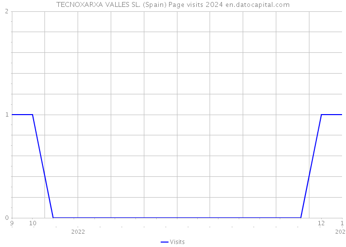 TECNOXARXA VALLES SL. (Spain) Page visits 2024 