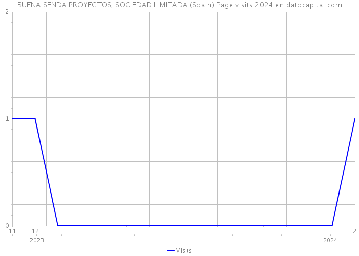 BUENA SENDA PROYECTOS, SOCIEDAD LIMITADA (Spain) Page visits 2024 