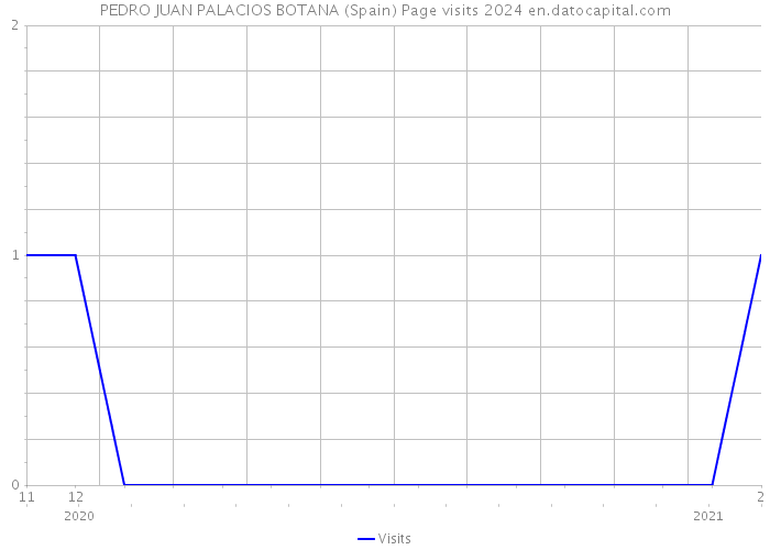PEDRO JUAN PALACIOS BOTANA (Spain) Page visits 2024 