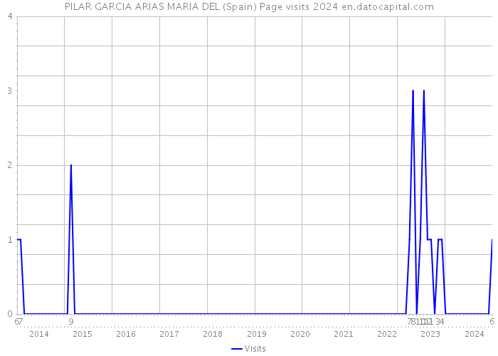PILAR GARCIA ARIAS MARIA DEL (Spain) Page visits 2024 