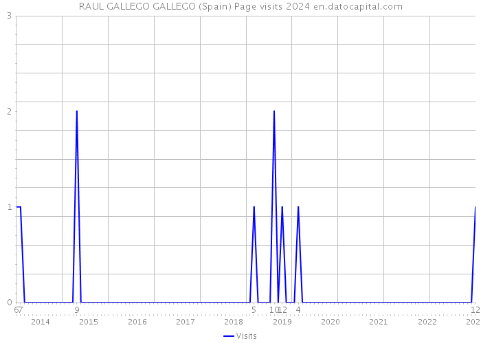 RAUL GALLEGO GALLEGO (Spain) Page visits 2024 