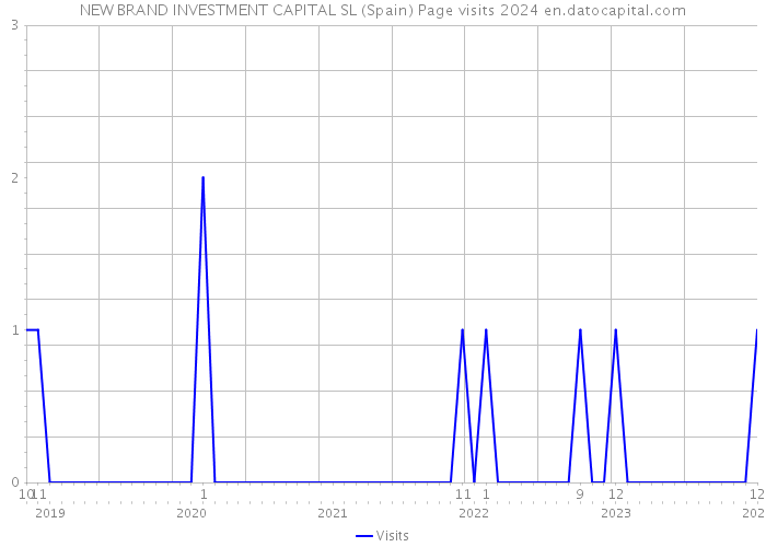 NEW BRAND INVESTMENT CAPITAL SL (Spain) Page visits 2024 