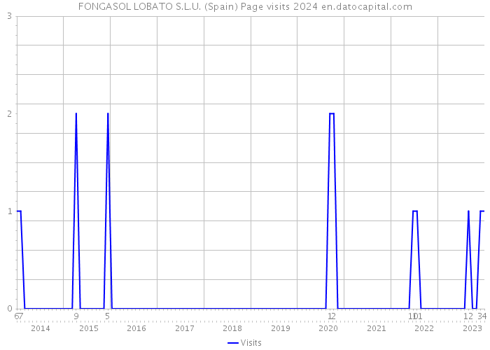 FONGASOL LOBATO S.L.U. (Spain) Page visits 2024 