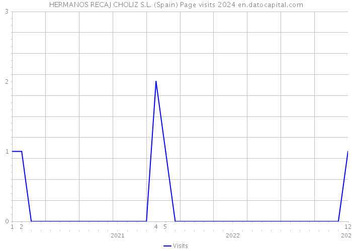 HERMANOS RECAJ CHOLIZ S.L. (Spain) Page visits 2024 