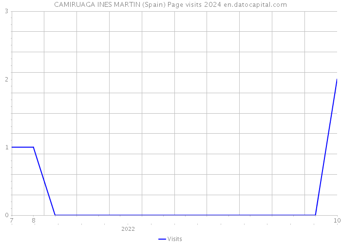 CAMIRUAGA INES MARTIN (Spain) Page visits 2024 