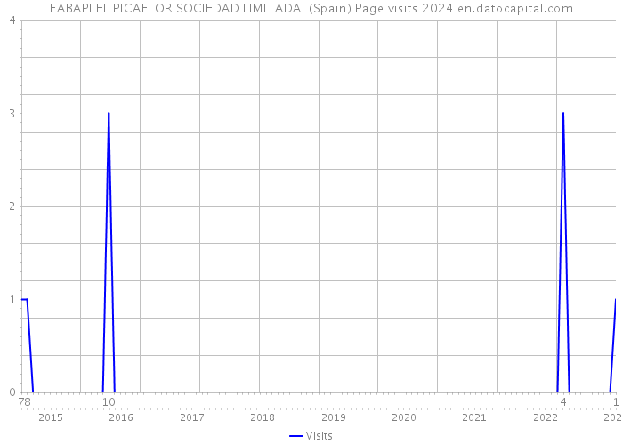 FABAPI EL PICAFLOR SOCIEDAD LIMITADA. (Spain) Page visits 2024 