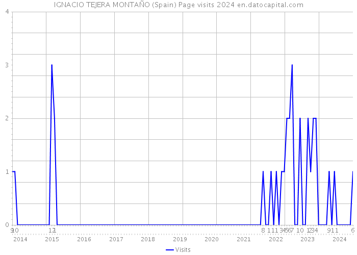 IGNACIO TEJERA MONTAÑO (Spain) Page visits 2024 