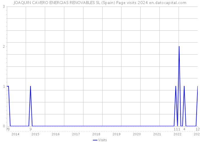 JOAQUIN CAVERO ENERGIAS RENOVABLES SL (Spain) Page visits 2024 