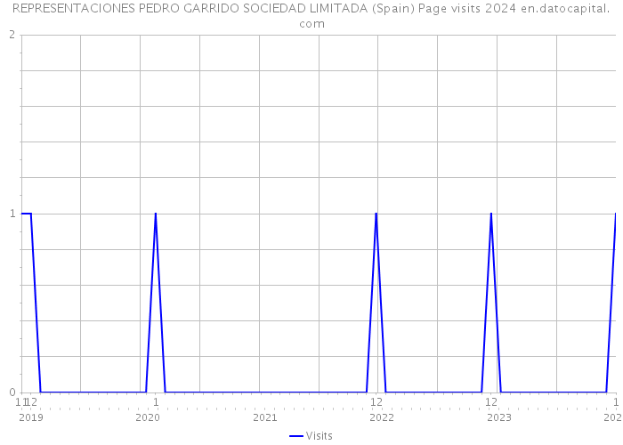 REPRESENTACIONES PEDRO GARRIDO SOCIEDAD LIMITADA (Spain) Page visits 2024 