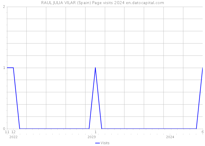 RAUL JULIA VILAR (Spain) Page visits 2024 