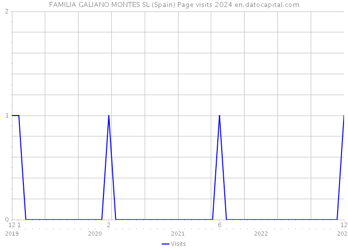 FAMILIA GALIANO MONTES SL (Spain) Page visits 2024 