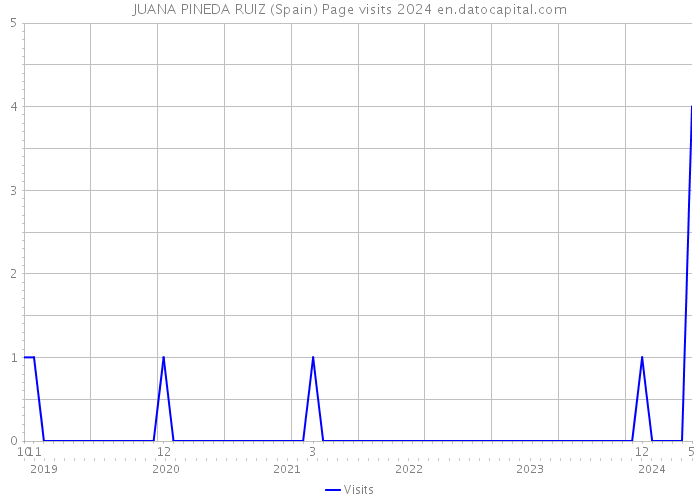 JUANA PINEDA RUIZ (Spain) Page visits 2024 