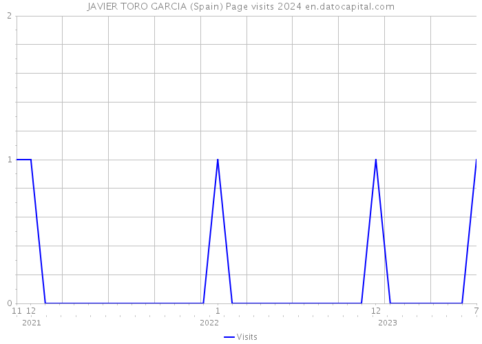 JAVIER TORO GARCIA (Spain) Page visits 2024 