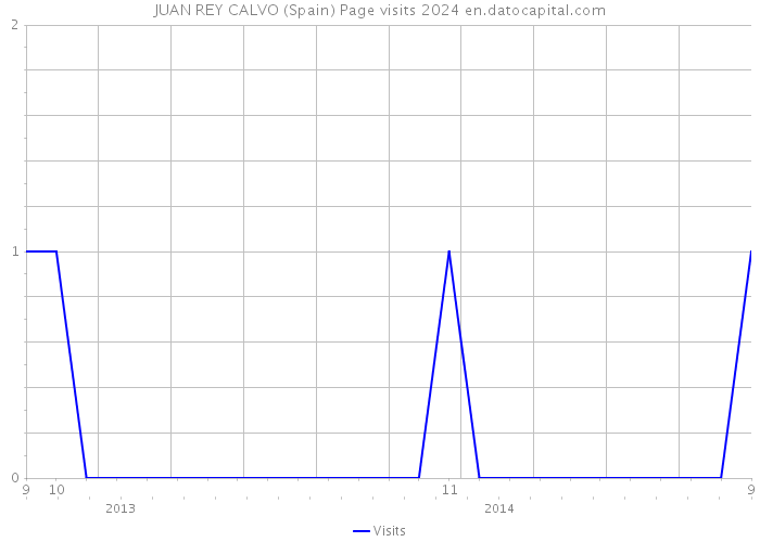 JUAN REY CALVO (Spain) Page visits 2024 