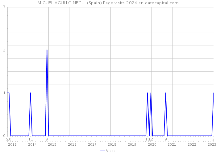 MIGUEL AGULLO NEGUI (Spain) Page visits 2024 