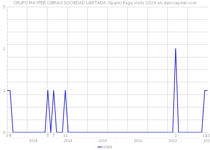 GRUPO MAYPER CIBRAO SOCIEDAD LIMITADA (Spain) Page visits 2024 