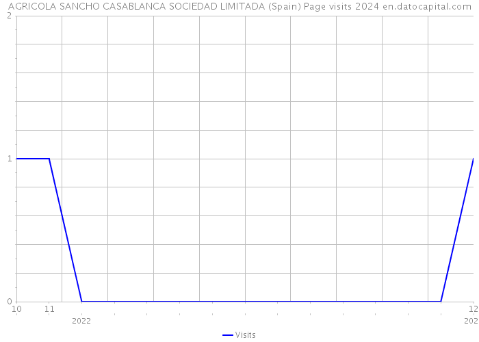 AGRICOLA SANCHO CASABLANCA SOCIEDAD LIMITADA (Spain) Page visits 2024 