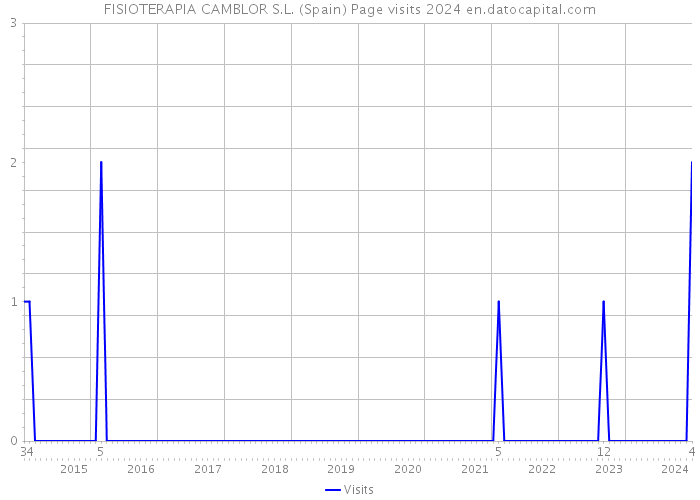 FISIOTERAPIA CAMBLOR S.L. (Spain) Page visits 2024 