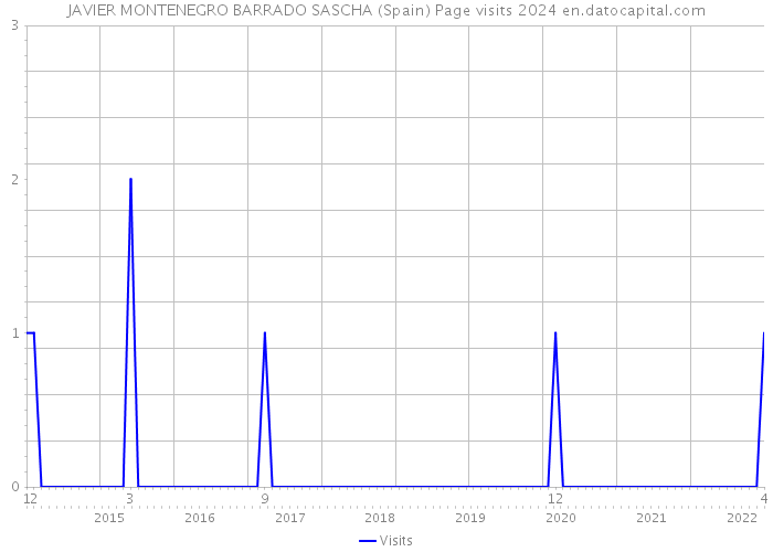 JAVIER MONTENEGRO BARRADO SASCHA (Spain) Page visits 2024 