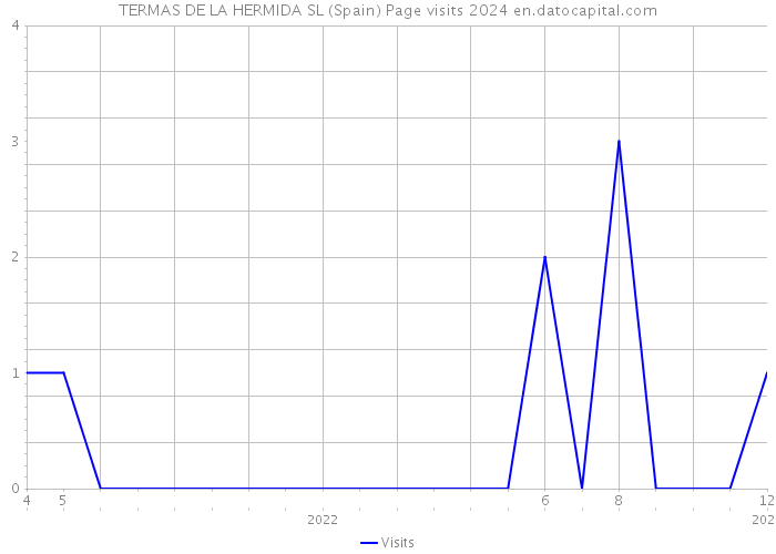 TERMAS DE LA HERMIDA SL (Spain) Page visits 2024 