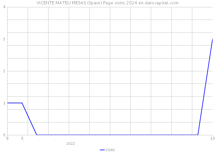 VICENTE MATEU MESAS (Spain) Page visits 2024 