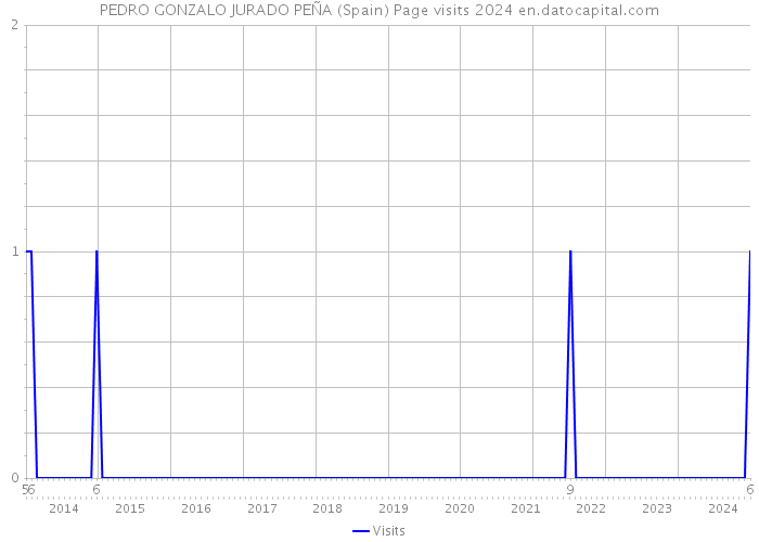 PEDRO GONZALO JURADO PEÑA (Spain) Page visits 2024 