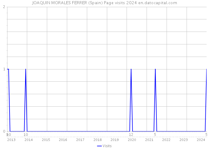 JOAQUIN MORALES FERRER (Spain) Page visits 2024 