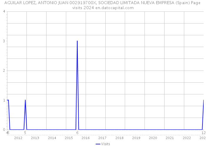 AGUILAR LOPEZ, ANTONIO JUAN 002919700X, SOCIEDAD LIMITADA NUEVA EMPRESA (Spain) Page visits 2024 