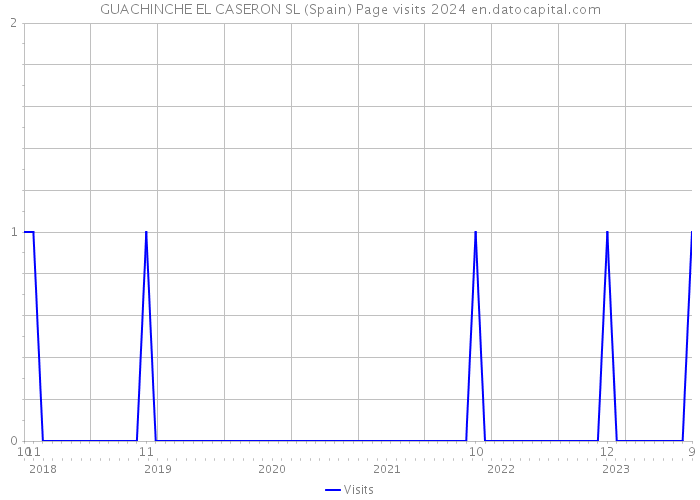 GUACHINCHE EL CASERON SL (Spain) Page visits 2024 