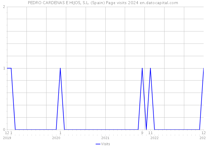 PEDRO CARDENAS E HIJOS, S.L. (Spain) Page visits 2024 