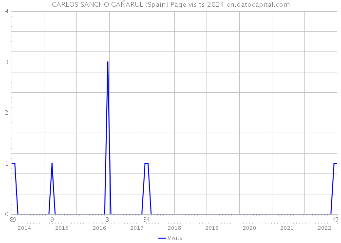 CARLOS SANCHO GAÑARUL (Spain) Page visits 2024 