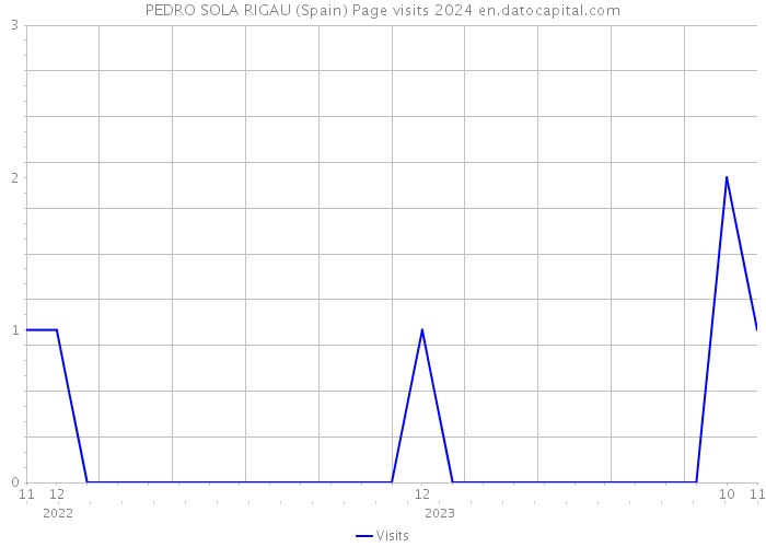 PEDRO SOLA RIGAU (Spain) Page visits 2024 