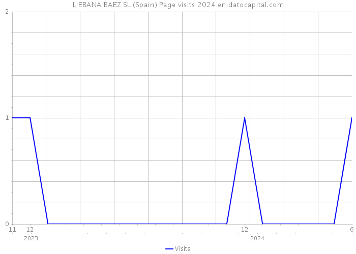 LIEBANA BAEZ SL (Spain) Page visits 2024 
