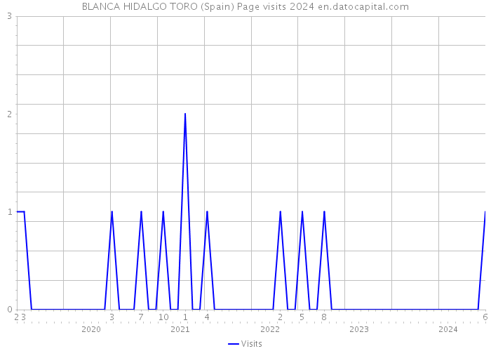 BLANCA HIDALGO TORO (Spain) Page visits 2024 