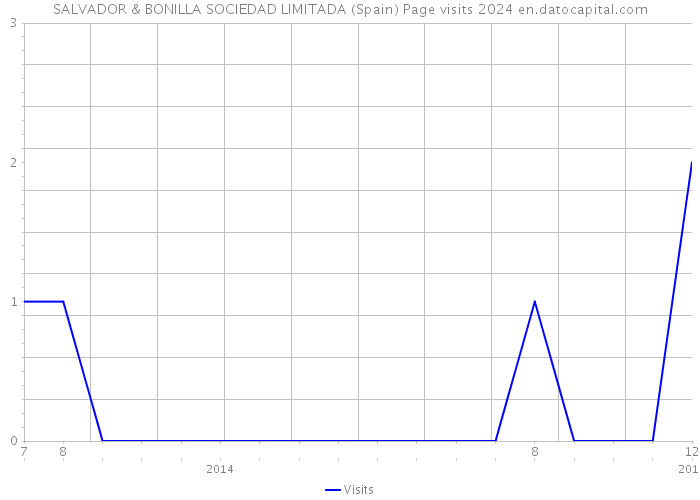 SALVADOR & BONILLA SOCIEDAD LIMITADA (Spain) Page visits 2024 