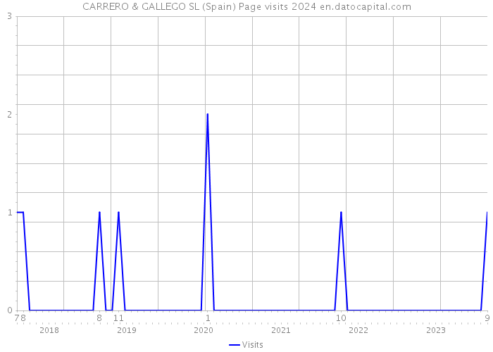 CARRERO & GALLEGO SL (Spain) Page visits 2024 