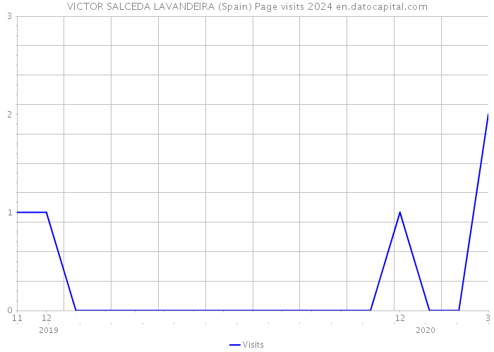 VICTOR SALCEDA LAVANDEIRA (Spain) Page visits 2024 