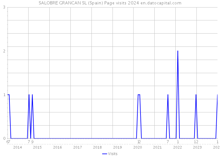SALOBRE GRANCAN SL (Spain) Page visits 2024 