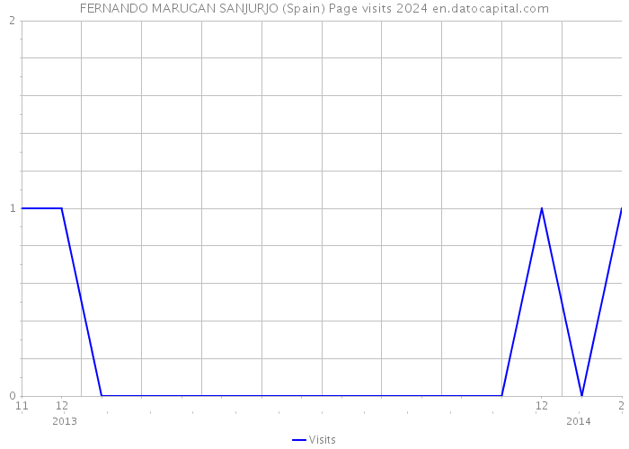 FERNANDO MARUGAN SANJURJO (Spain) Page visits 2024 