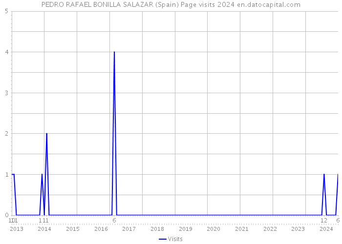 PEDRO RAFAEL BONILLA SALAZAR (Spain) Page visits 2024 