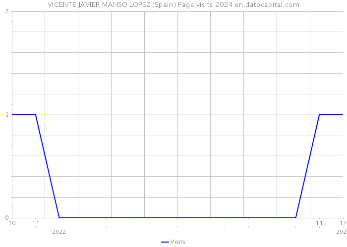 VICENTE JAVIER MANSO LOPEZ (Spain) Page visits 2024 