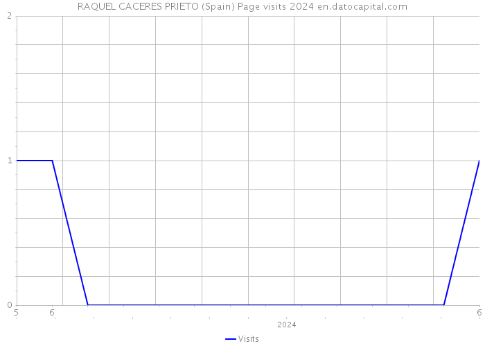 RAQUEL CACERES PRIETO (Spain) Page visits 2024 