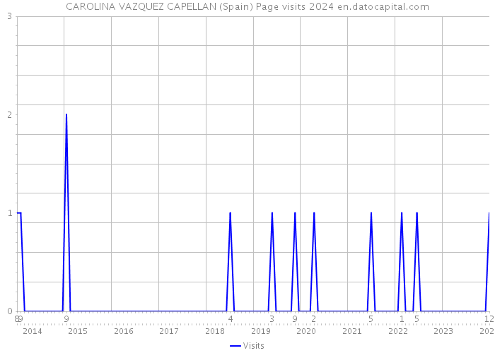 CAROLINA VAZQUEZ CAPELLAN (Spain) Page visits 2024 