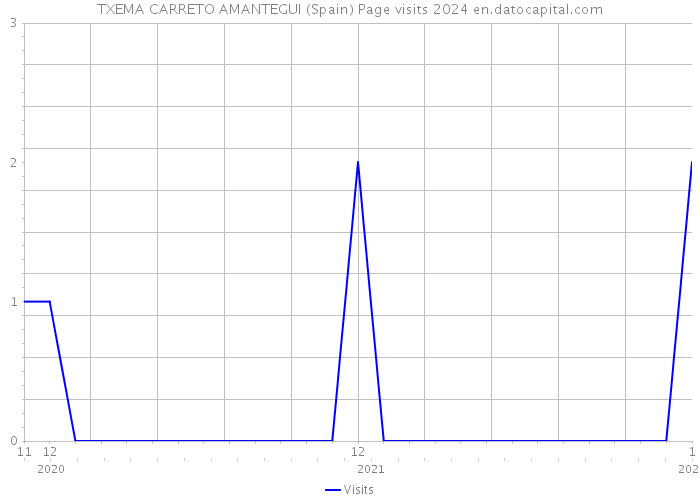 TXEMA CARRETO AMANTEGUI (Spain) Page visits 2024 