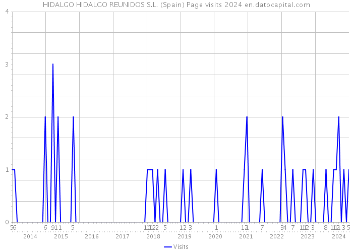 HIDALGO HIDALGO REUNIDOS S.L. (Spain) Page visits 2024 