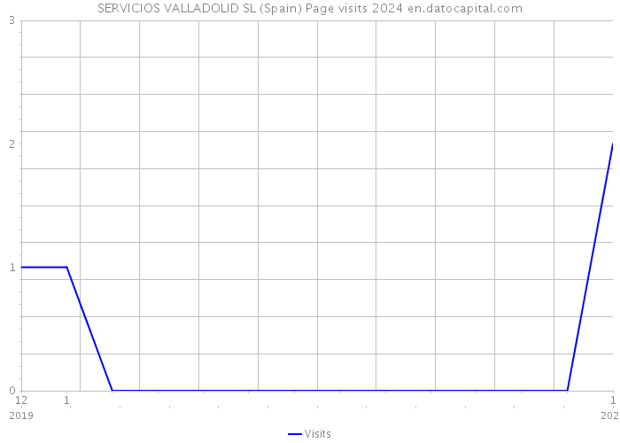 SERVICIOS VALLADOLID SL (Spain) Page visits 2024 