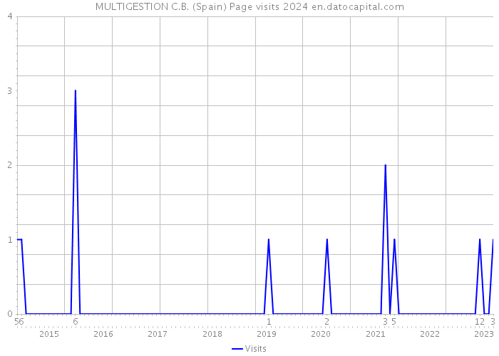 MULTIGESTION C.B. (Spain) Page visits 2024 