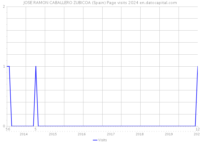 JOSE RAMON CABALLERO ZUBICOA (Spain) Page visits 2024 