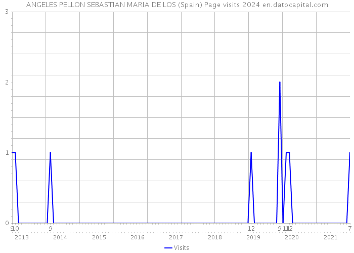 ANGELES PELLON SEBASTIAN MARIA DE LOS (Spain) Page visits 2024 