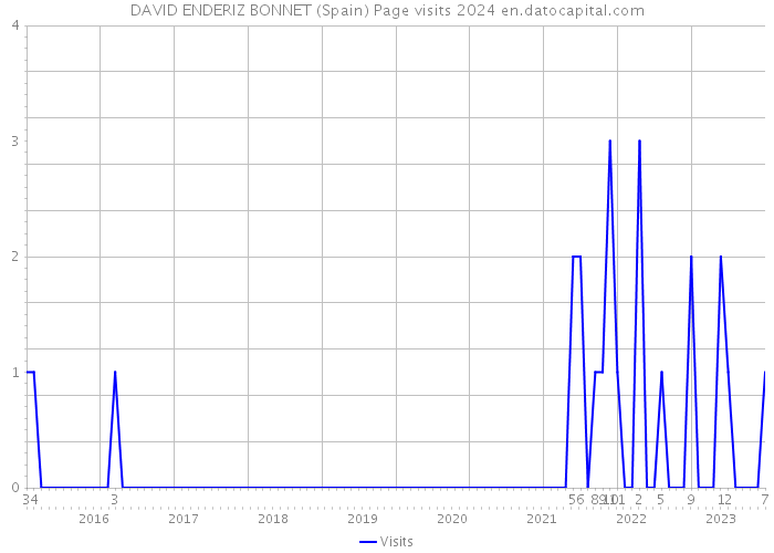 DAVID ENDERIZ BONNET (Spain) Page visits 2024 